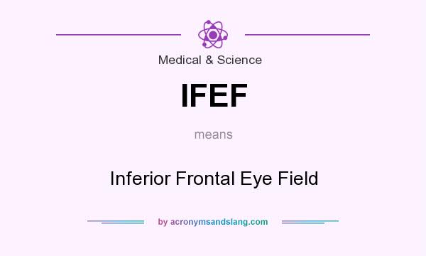 What does IFEF mean? It stands for Inferior Frontal Eye Field