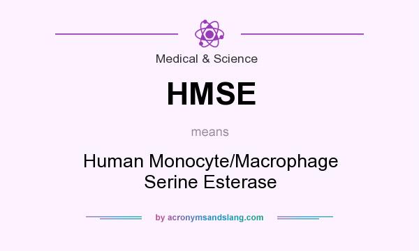 What does HMSE mean? It stands for Human Monocyte/Macrophage Serine Esterase