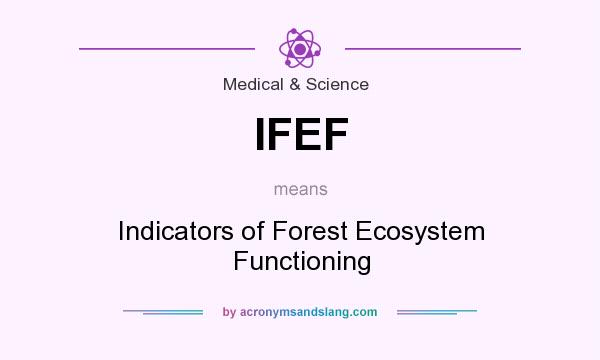 What does IFEF mean? It stands for Indicators of Forest Ecosystem Functioning