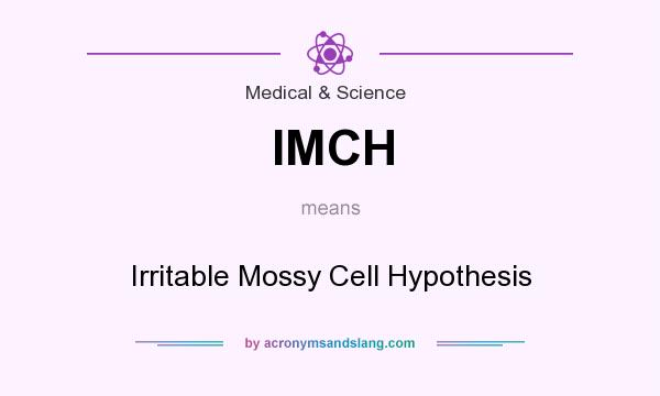 What does IMCH mean? It stands for Irritable Mossy Cell Hypothesis