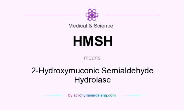 What does HMSH mean? It stands for 2-Hydroxymuconic Semialdehyde Hydrolase