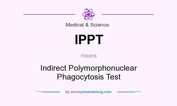 What does IPPT mean? It stands for Indirect Polymorphonuclear Phagocytosis Test