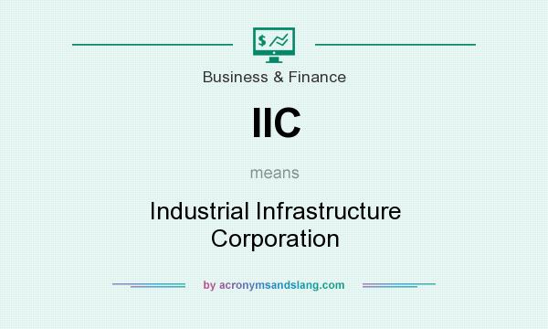 What does IIC mean? It stands for Industrial Infrastructure Corporation
