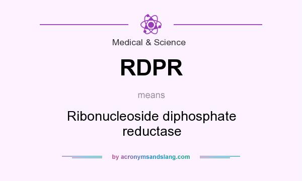 What does RDPR mean? It stands for Ribonucleoside diphosphate reductase