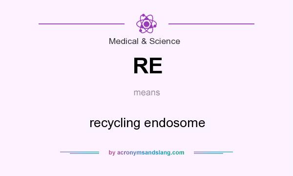 What does RE mean? It stands for recycling endosome