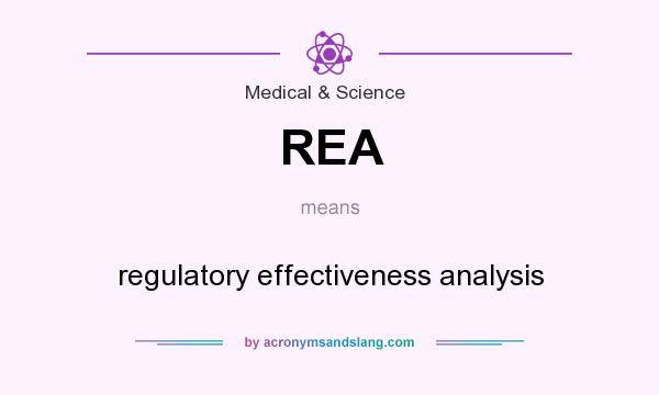 What does REA mean? It stands for regulatory effectiveness analysis