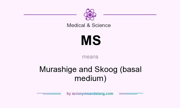 What does MS mean? It stands for Murashige and Skoog (basal medium)