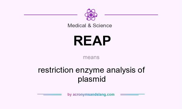 What does REAP mean? It stands for restriction enzyme analysis of plasmid