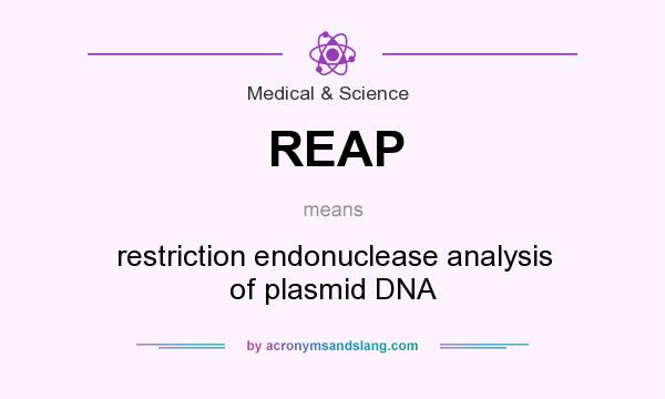 What does REAP mean? It stands for restriction endonuclease analysis of plasmid DNA