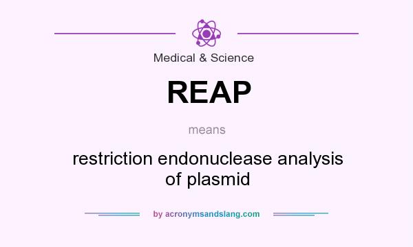 What does REAP mean? It stands for restriction endonuclease analysis of plasmid