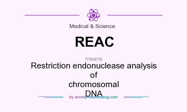 What does REAC mean? It stands for Restriction endonuclease analysis of chromosomal DNA