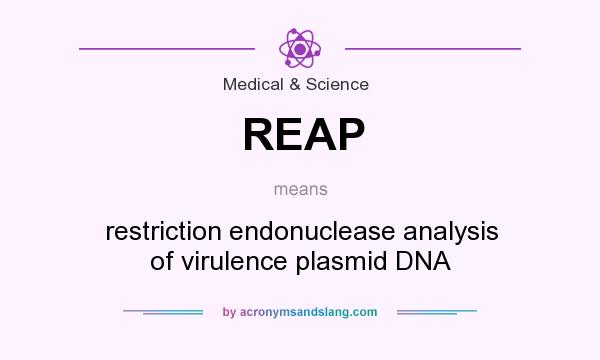 What does REAP mean? It stands for restriction endonuclease analysis of virulence plasmid DNA