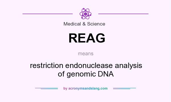 What does REAG mean? It stands for restriction endonuclease analysis of genomic DNA