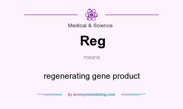 What does Reg mean? It stands for regenerating gene product