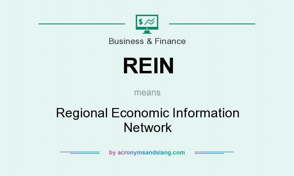 What does REIN mean? It stands for Regional Economic Information Network