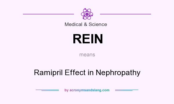 What does REIN mean? It stands for Ramipril Effect in Nephropathy