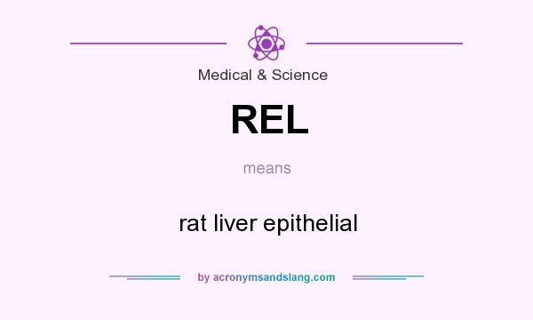 What does REL mean? It stands for rat liver epithelial