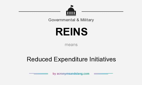 What does REINS mean? It stands for Reduced Expenditure Initiatives