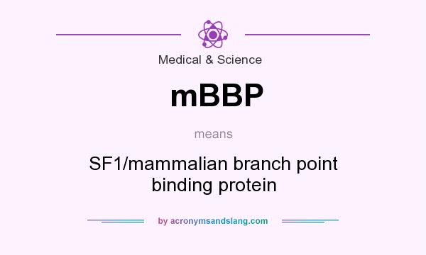 What does mBBP mean? It stands for SF1/mammalian branch point binding protein