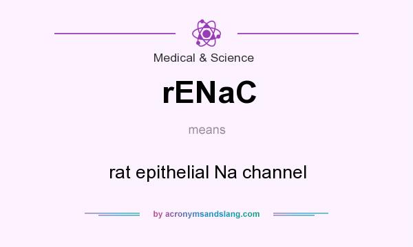 What does rENaC mean? It stands for rat epithelial Na channel