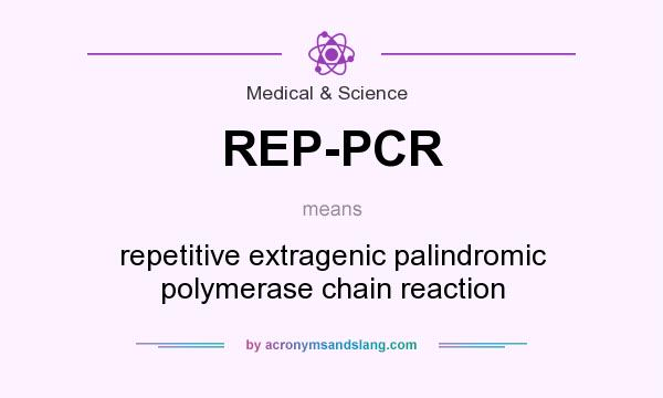 What does REP-PCR mean? It stands for repetitive extragenic palindromic polymerase chain reaction