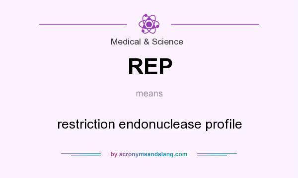 What does REP mean? It stands for restriction endonuclease profile