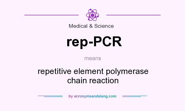 What does rep-PCR mean? It stands for repetitive element polymerase chain reaction