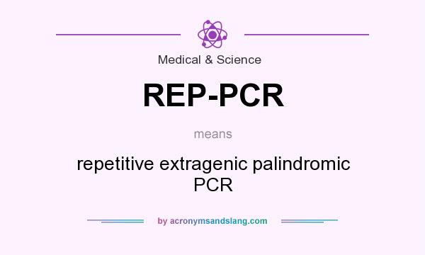 What does REP-PCR mean? It stands for repetitive extragenic palindromic PCR