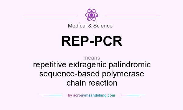 What does REP-PCR mean? It stands for repetitive extragenic palindromic sequence-based polymerase chain reaction