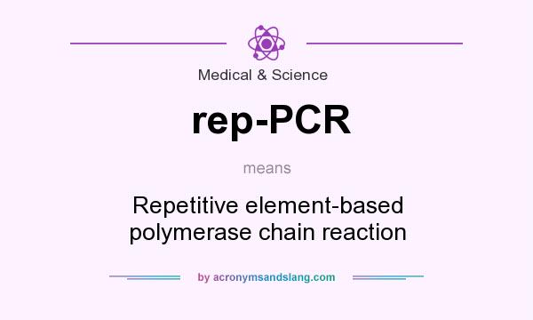 What does rep-PCR mean? It stands for Repetitive element-based polymerase chain reaction