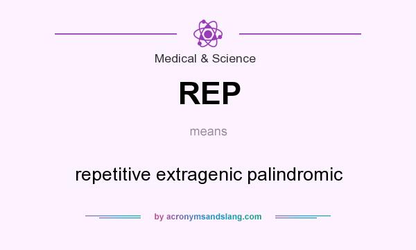 What does REP mean? It stands for repetitive extragenic palindromic