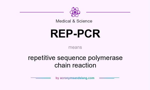 What does REP-PCR mean? It stands for repetitive sequence polymerase chain reaction