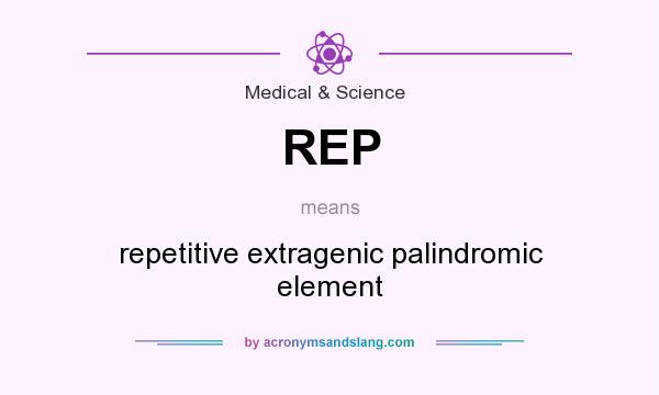 What does REP mean? It stands for repetitive extragenic palindromic element