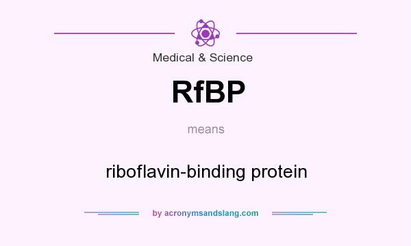 What does RfBP mean? It stands for riboflavin-binding protein