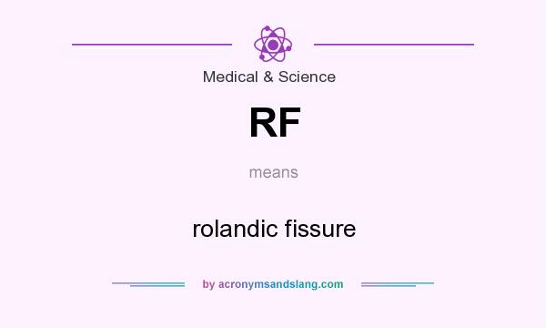 What does RF mean? It stands for rolandic fissure