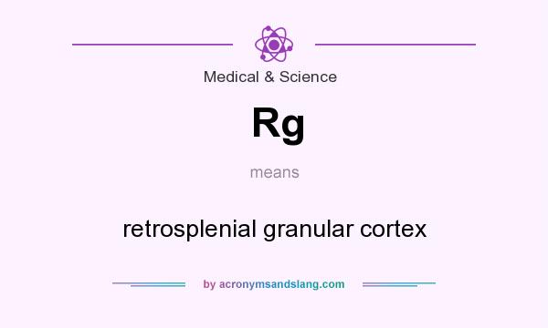 What does Rg mean? It stands for retrosplenial granular cortex
