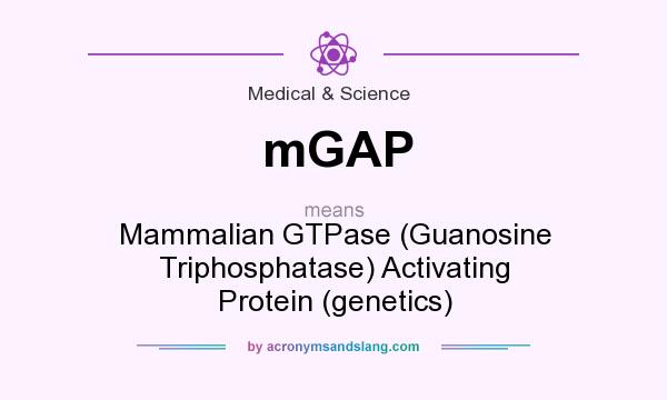 What does mGAP mean? It stands for Mammalian GTPase (Guanosine Triphosphatase) Activating Protein (genetics)