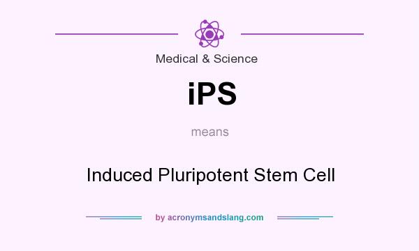 What does iPS mean? It stands for Induced Pluripotent Stem Cell
