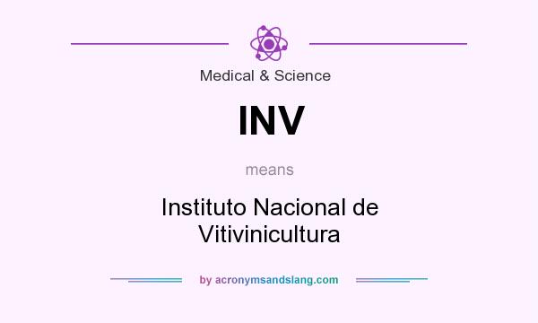 What does INV mean? It stands for Instituto Nacional de Vitivinicultura