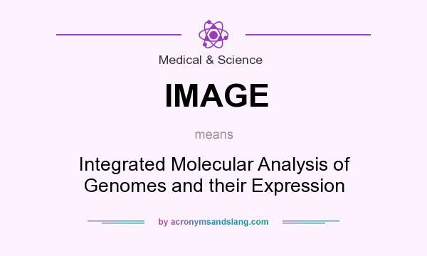 What does IMAGE mean? It stands for Integrated Molecular Analysis of Genomes and their Expression