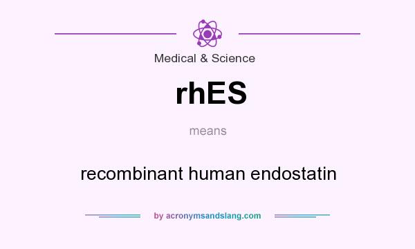 What does rhES mean? It stands for recombinant human endostatin