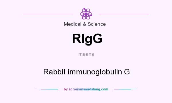 What does RIgG mean? It stands for Rabbit immunoglobulin G