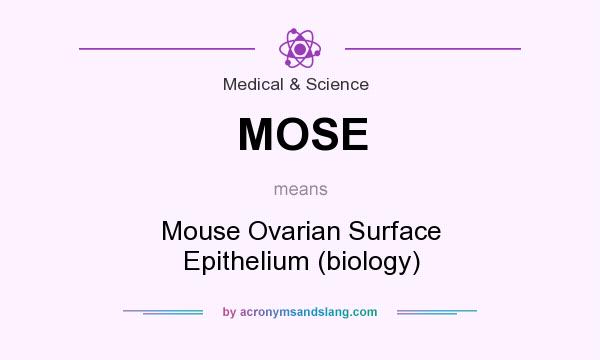 What does MOSE mean? It stands for Mouse Ovarian Surface Epithelium (biology)