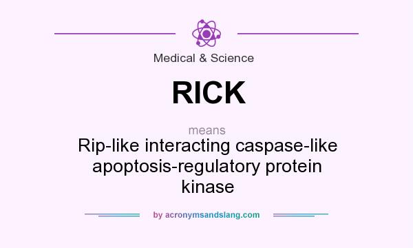 What does RICK mean? It stands for Rip-like interacting caspase-like apoptosis-regulatory protein kinase