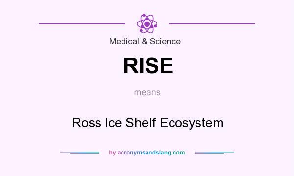 What does RISE mean? It stands for Ross Ice Shelf Ecosystem