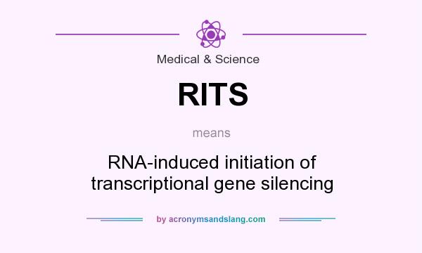 What does RITS mean? It stands for RNA-induced initiation of transcriptional gene silencing