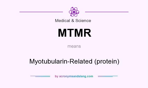 What does MTMR mean? It stands for Myotubularin-Related (protein)