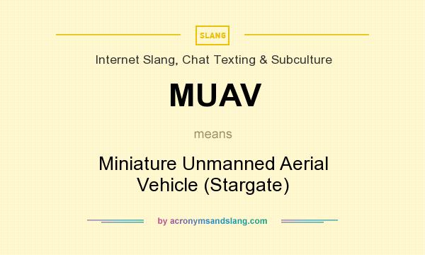 What does MUAV mean? It stands for Miniature Unmanned Aerial Vehicle (Stargate)