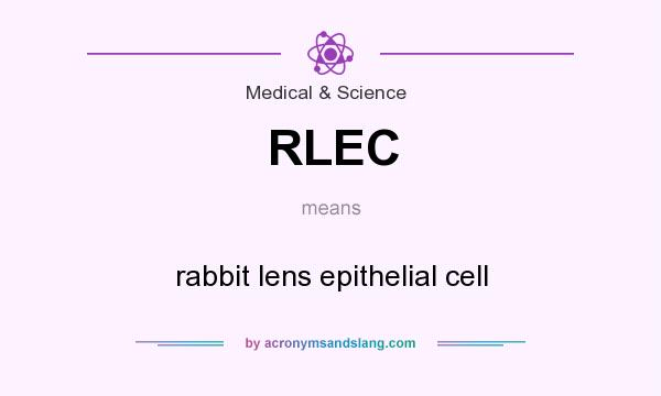 What does RLEC mean? It stands for rabbit lens epithelial cell