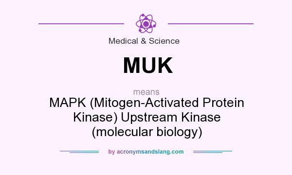 What does MUK mean? It stands for MAPK (Mitogen-Activated Protein Kinase) Upstream Kinase (molecular biology)